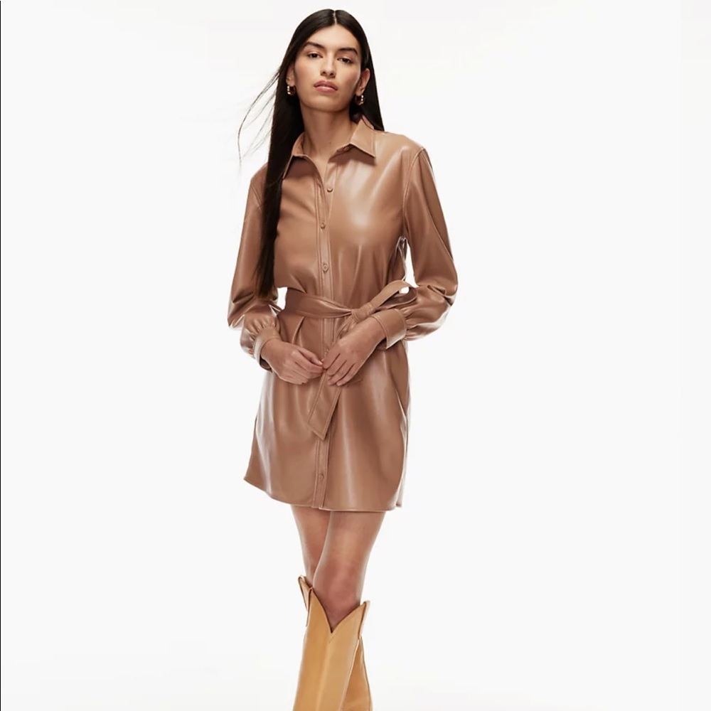 Aritzia Caroline Dress Size M